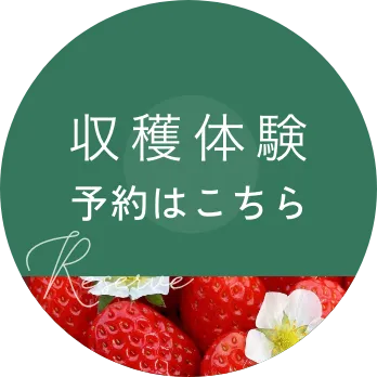 収穫体験 予約はこちら